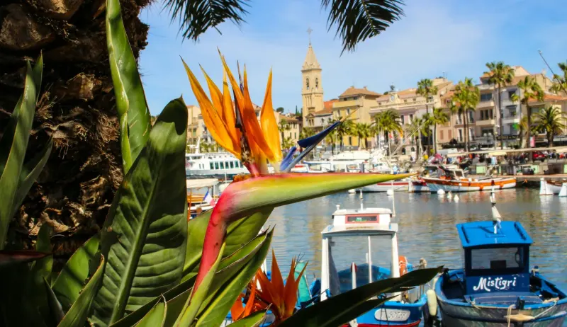 Sanary-sur-Mer harbour and Saint-Nazaire church