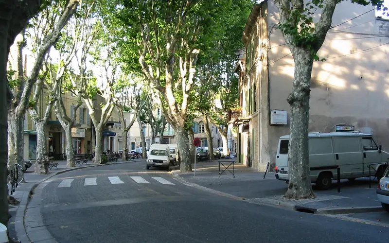 Boulevard de Grans (Bouches-du-Rhône)