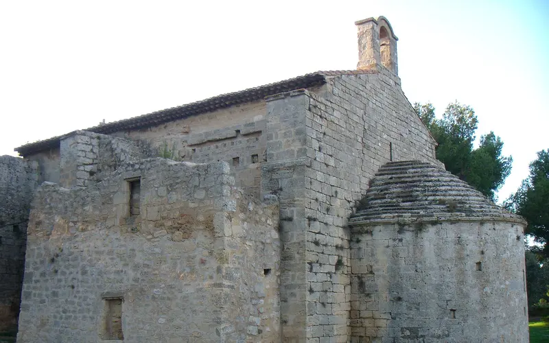L'oppidum de Saint-Blaise à Saint-Mitre-les-Remparts